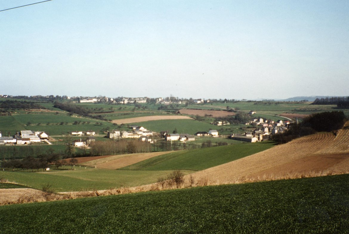 DAP0044