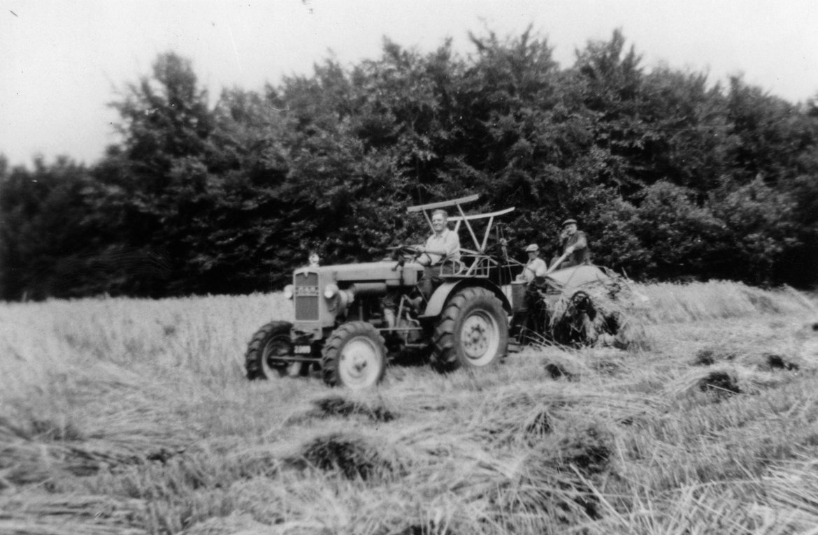 DAP0888