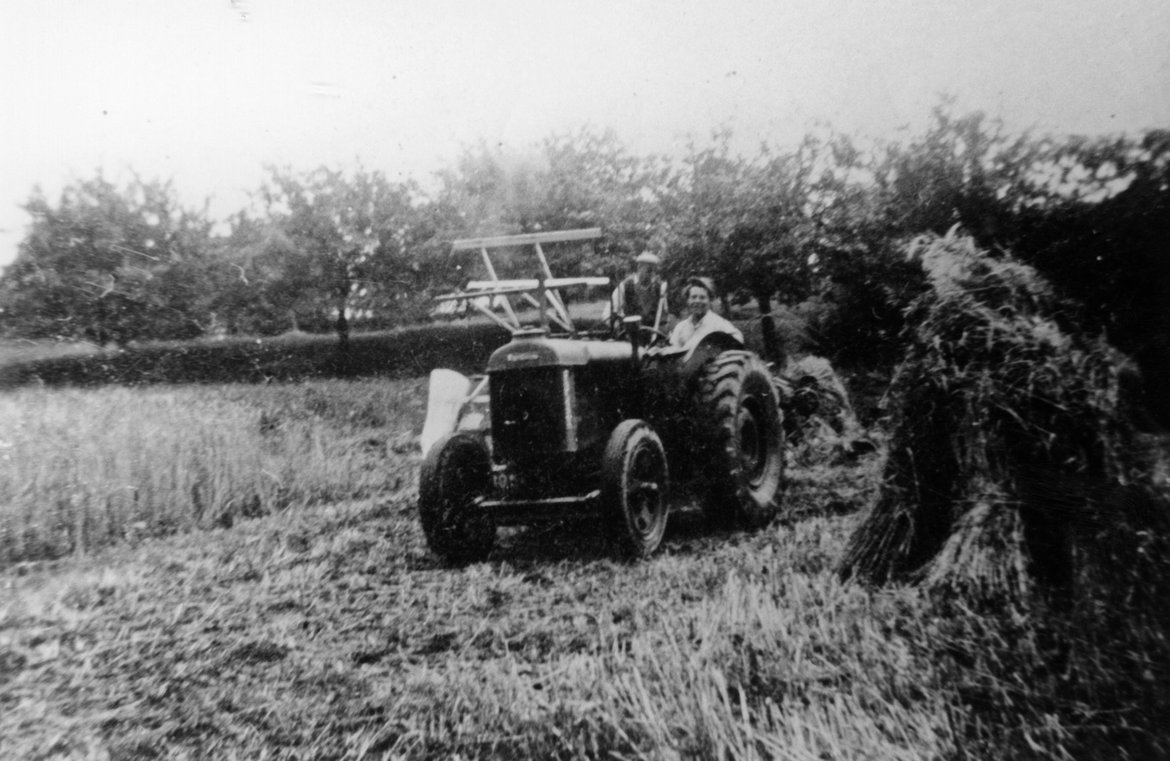 DAP0889