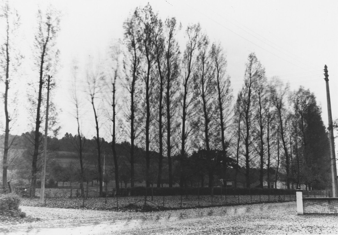 DAP1928